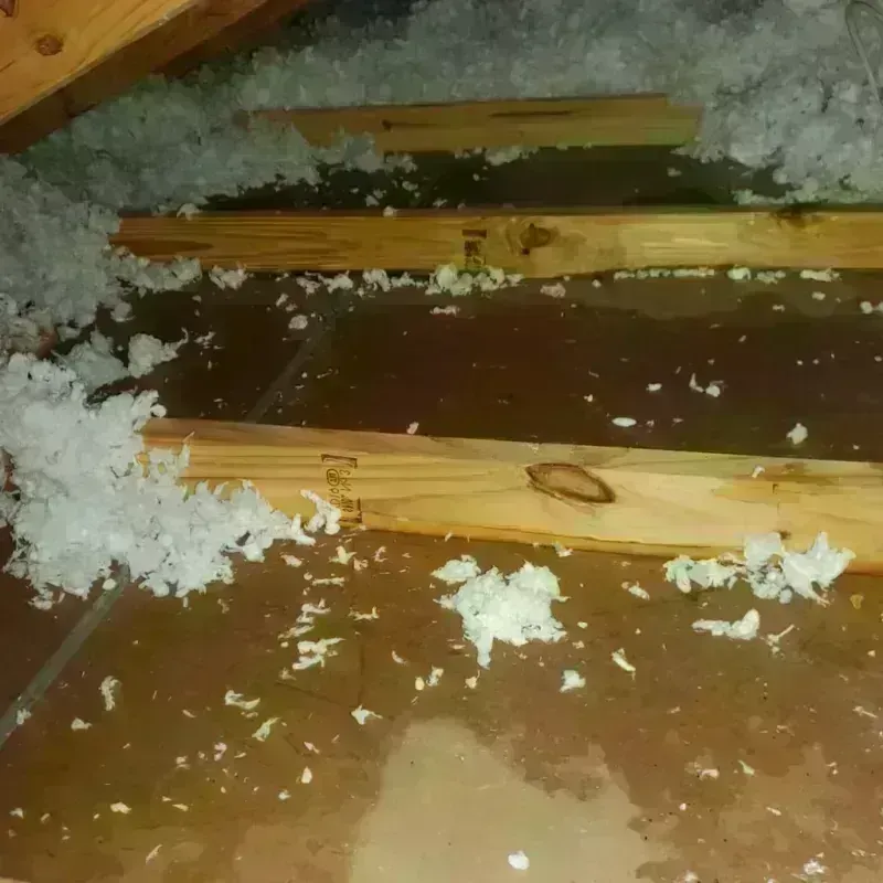 Attic Water Damage in Escanaba, MI