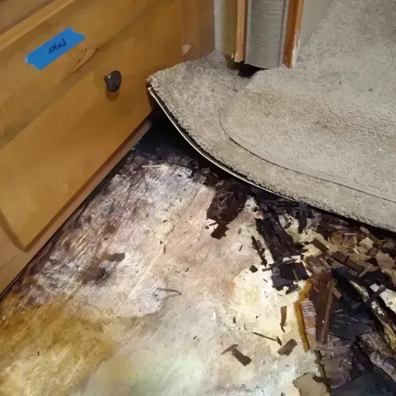 Wood Floor Water Damage in Escanaba, MI